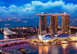 im电竞APP下载免费版